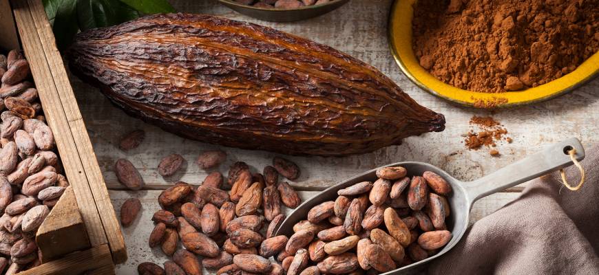 Surowe kakao – właściwości lecznicze. Jak zrobić kakao do picia?