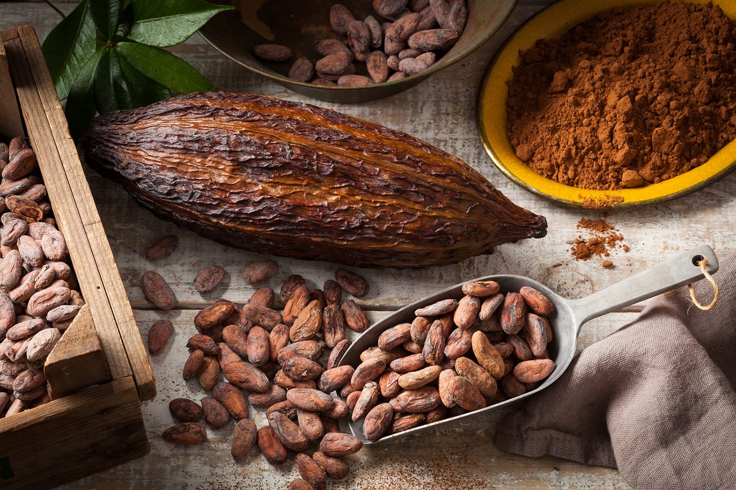 surwe kakao właściwości jak zrobić kakao do picia?