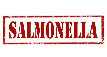 Zakażenie salmonellą – objawy, leczenie. Czy salmonella jest zaraźliwa?