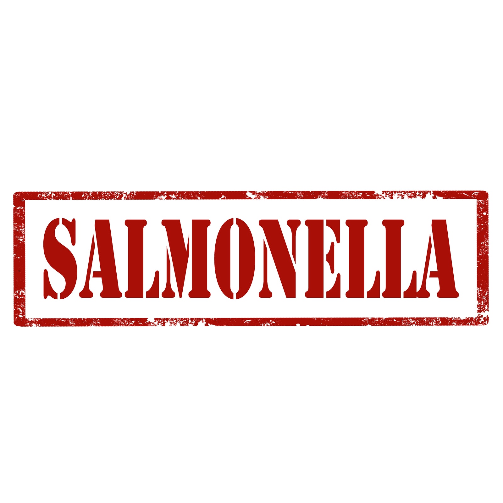 salmonella przyczyny objawy leczenie