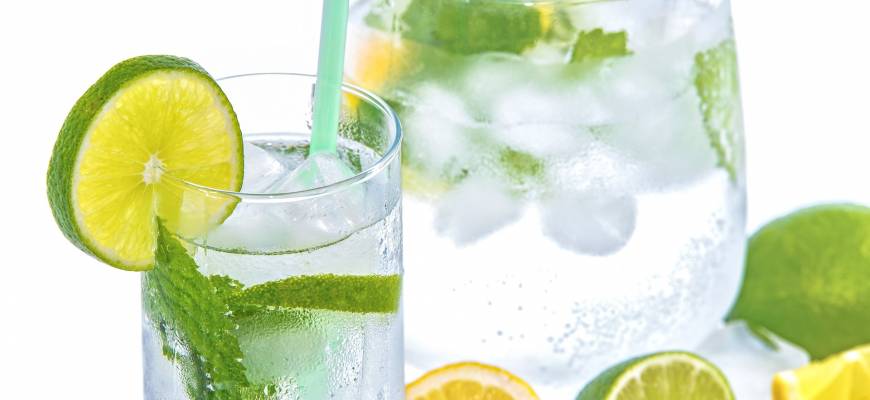 Sok i nalewka z limonki. Właściwości limonki. Czym różni się limonka od cytryny? Sok i nalewka z limonki. Właściwości limonki. Czym różni się limonka od cytryny?