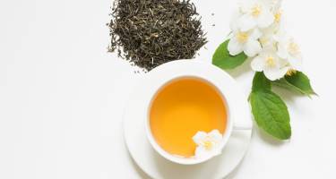 Jaśmin – odmiany. Herbata i olejek jaśminowy