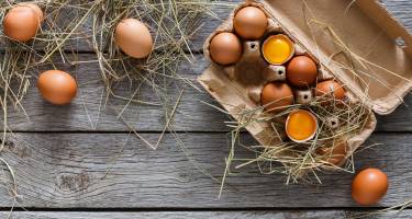 Jak sprawdzić czy jajko jest świeże? Jak przechowywać jajka?