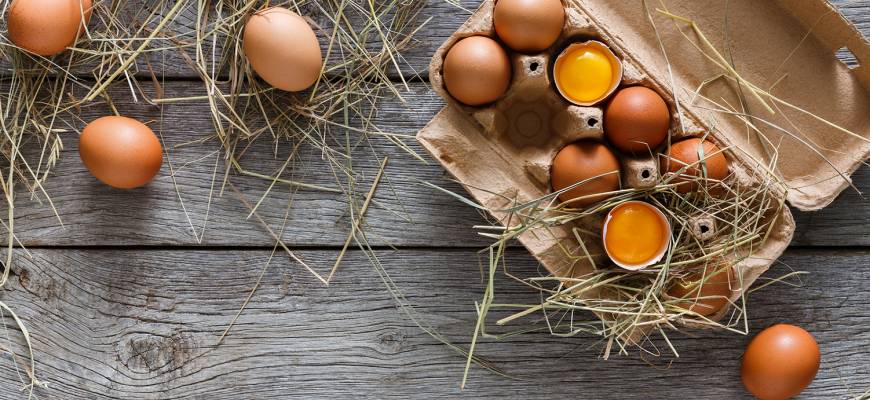 Jak sprawdzić czy jajko jest świeże? Jak przechowywać jajka?
