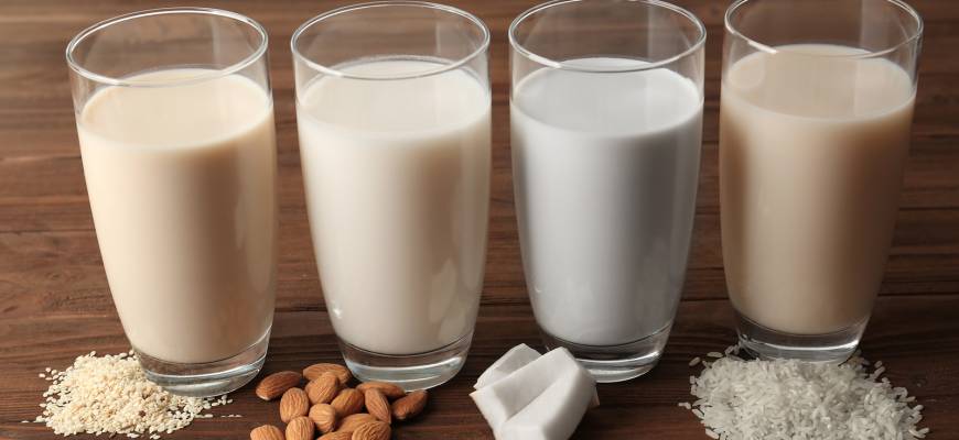 Mleko roślinne a napój roślinny – rodzaje. Jak zrobić mleko roślinne?
