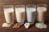 Mleko roślinne a napój roślinny – rodzaje. Jak zrobić mleko roślinne?