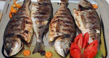 Dorada ryba – wartości odżywcze, przepisy