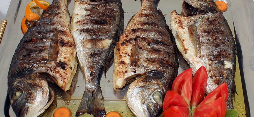 Dorada ryba – wartości odżywcze, przepisy