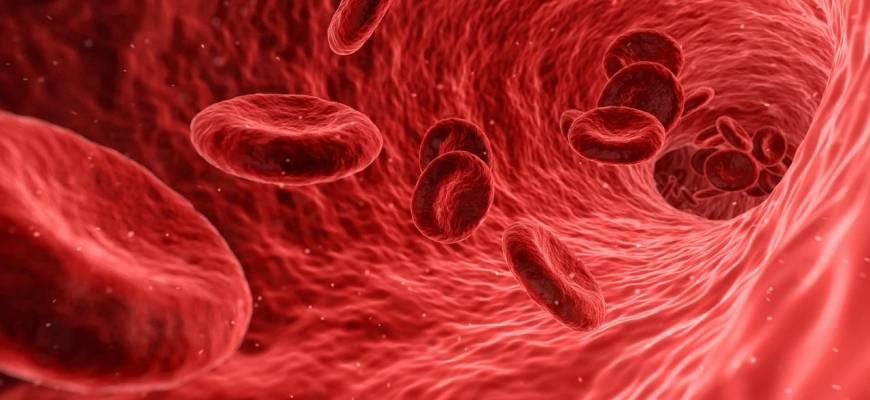 Hemofilia – genetyczna choroba krwi, z którą da się normalnie żyć
