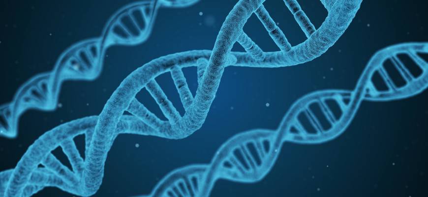 Dystrofia miotoniczna – przyczyny, dziedziczenie, objawy, skutki, leczenie i dieta
