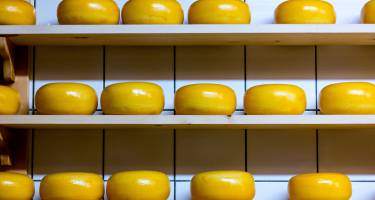 Ser wegański – skład. Jak zrobić wegański ser?