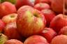 Dieta jabłkowa – zasady i opinia dietetyka. Ile można schudnąć na diecie jabłkowej?