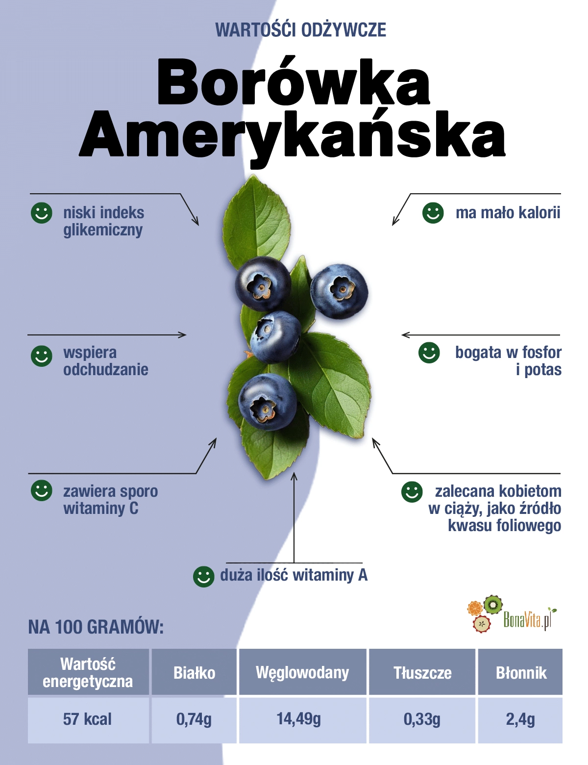 Infografika wartości odżywcze borówki amerykańskiej.