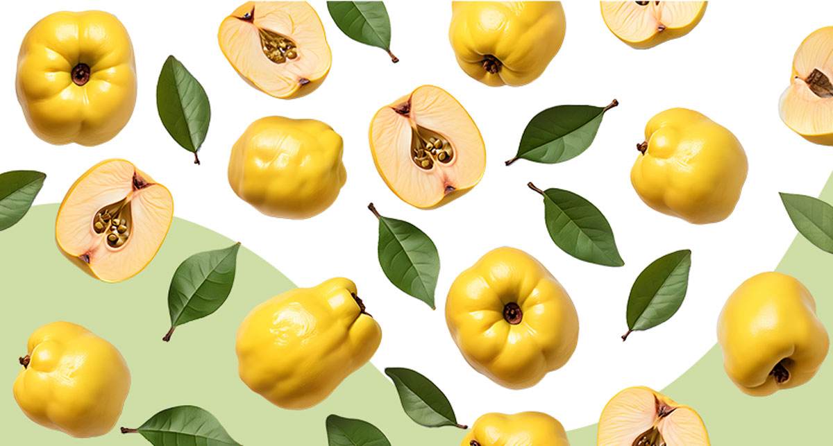 Cytrusy i liście na jasnym tle.