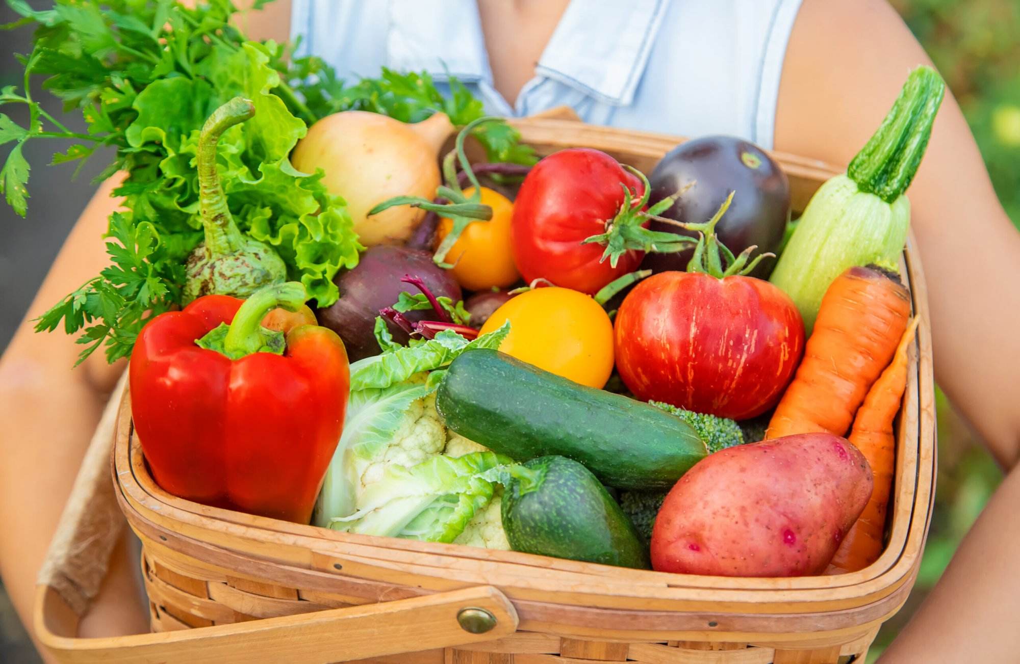 Koszyk świeżych, kolorowych warzyw.